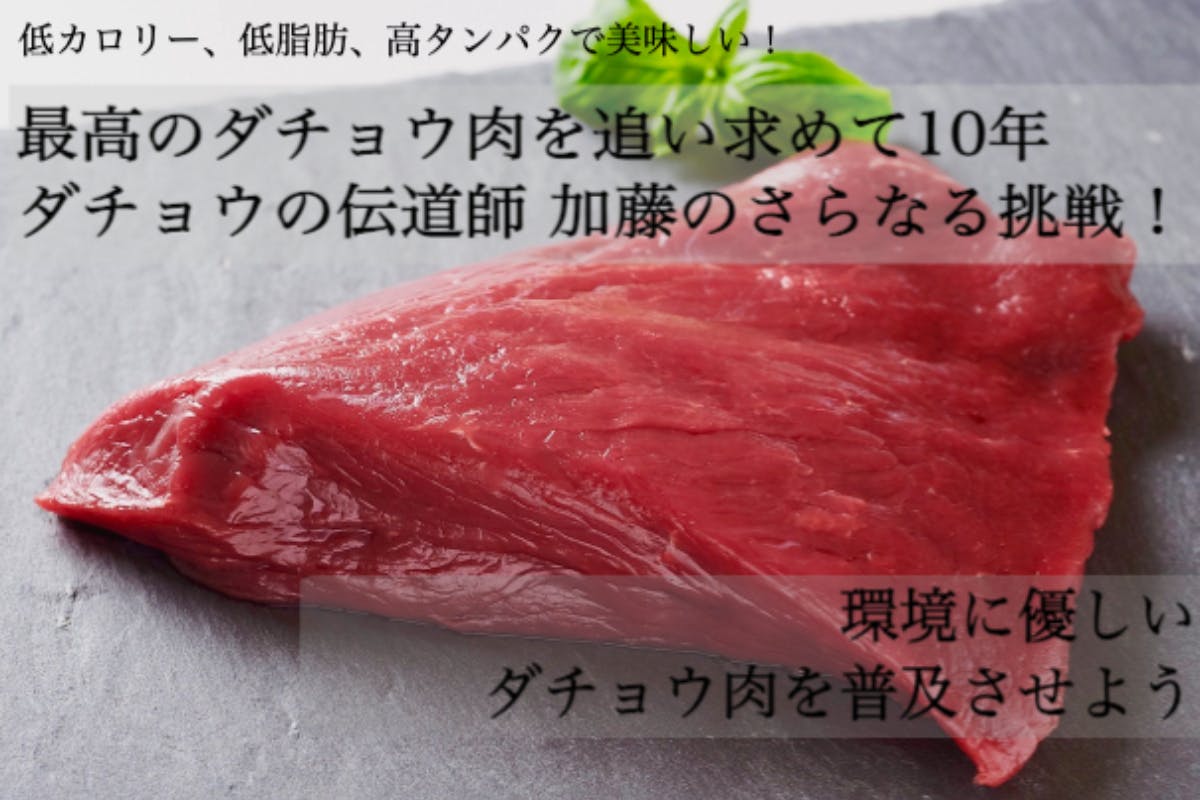 低カロリー、低脂肪、高タンパクで美味しい！環境に優しいダチョウ肉を普及させよう。 - CAMPFIRE (キャンプファイヤー)