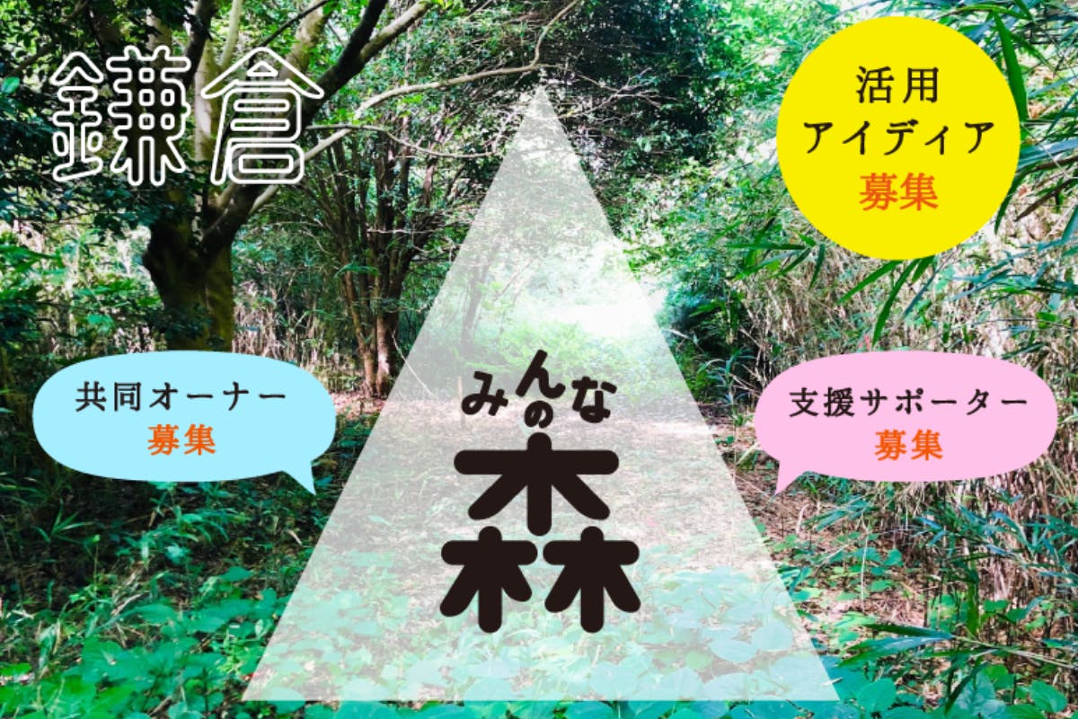鎌倉の「空き森」を【みんなの森】に!森をシェアする新しい仕組みを全国にも!!