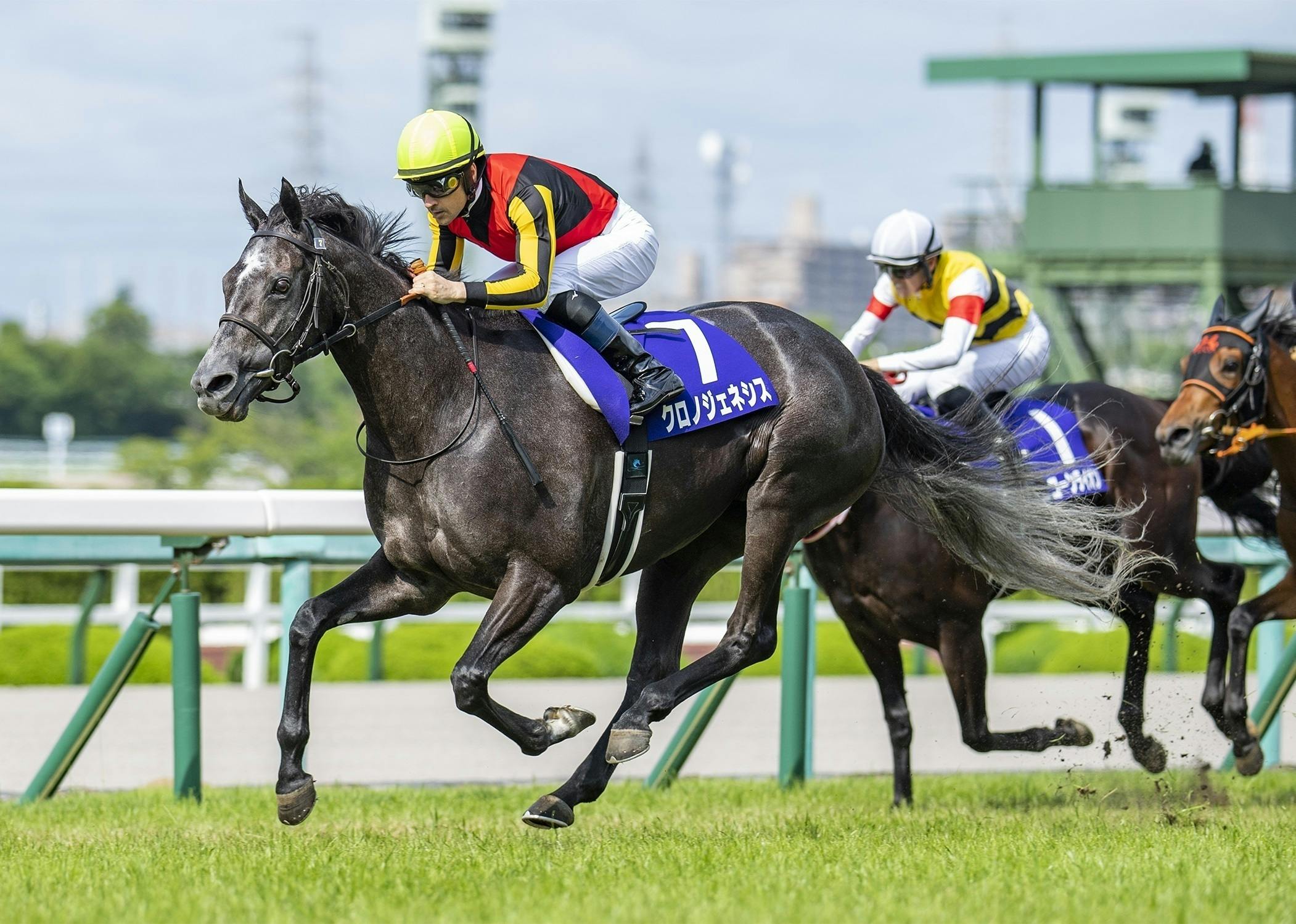 世界最高峰のレース「凱旋門賞」に出走する日本馬にエールを送ろう