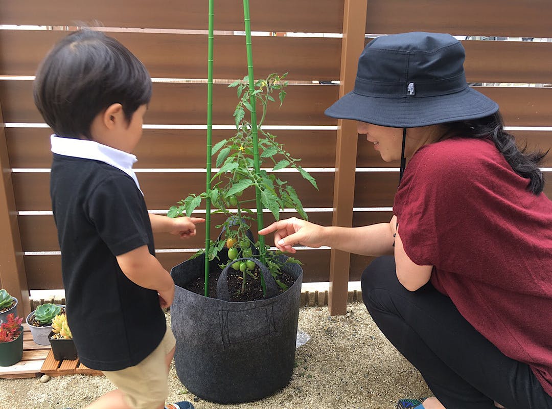 すぐに始められるプランター菜園セットをお届け 使用済みの土も回収し再利用します Campfire キャンプファイヤー すぐに始められるプランター菜園セットをお届け 使用済みの土も回収し再利用します Campfire キャンプファイヤー