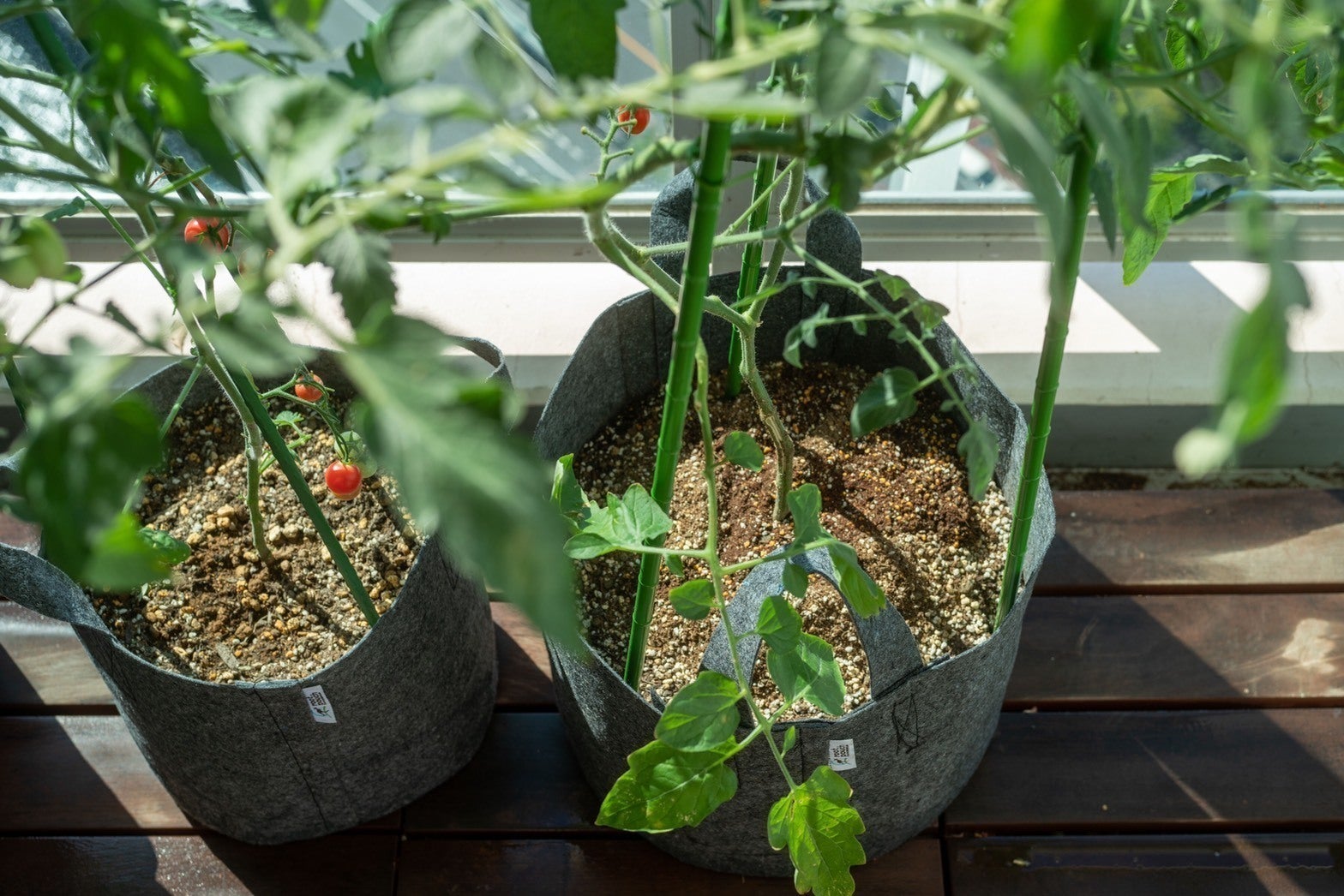 すぐに始められるプランター菜園セットをお届け 使用済みの土も回収し再利用します Campfire キャンプファイヤー すぐに始められるプランター菜園セットをお届け 使用済みの土も回収し再利用します Campfire キャンプファイヤー