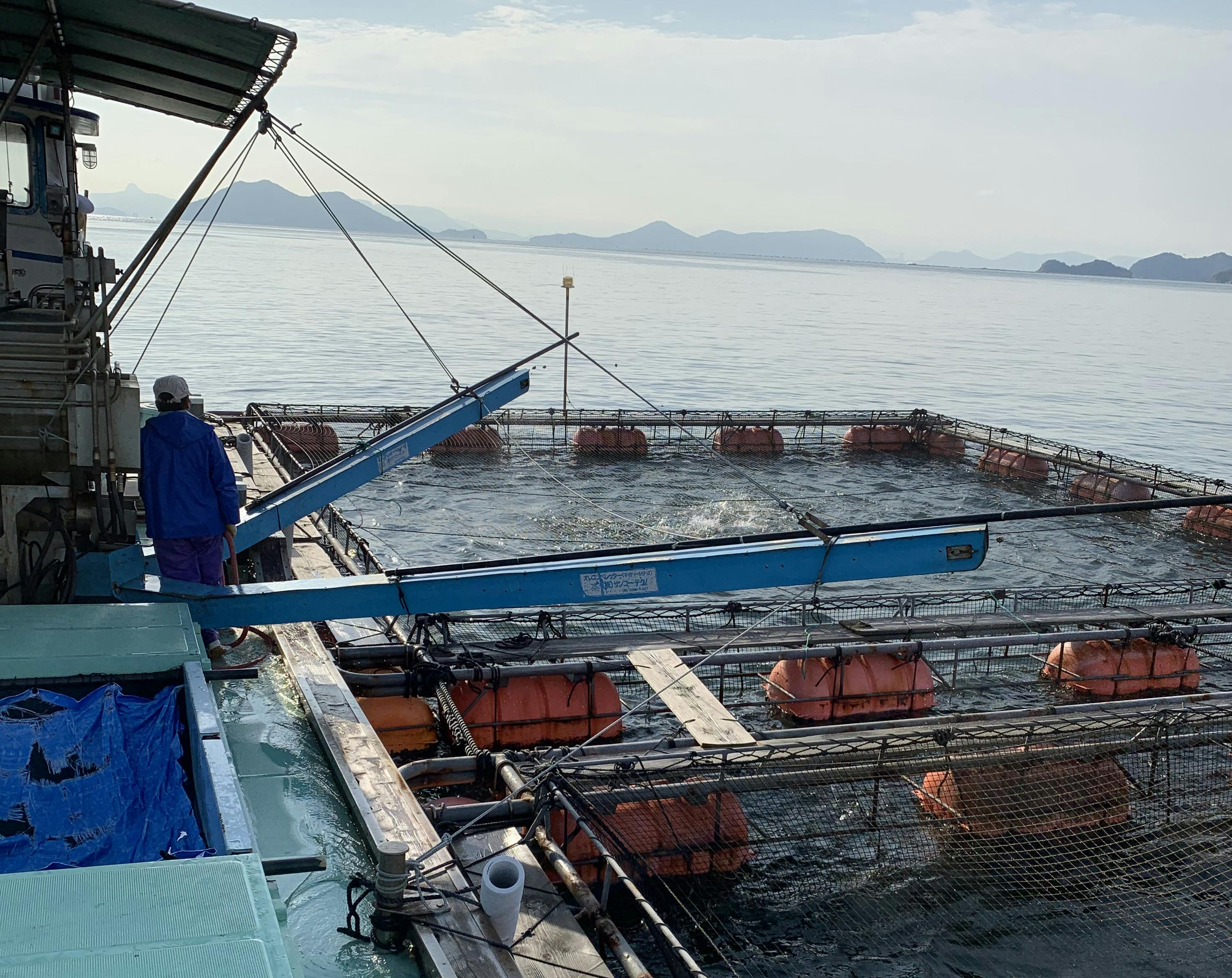 父が残してくれたハマチの養殖業を復活させたい Campfire キャンプファイヤー 父が残してくれたハマチの養殖業を復活させたい Campfire キャンプファイヤー