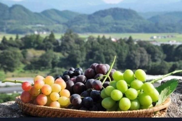 1番目のメイン画像