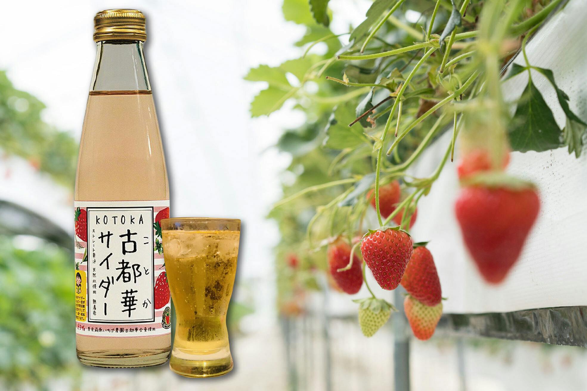 奈良の日本酒文化を守るために「奈良しゅわボール」を多くの方に知ってもらいたい！