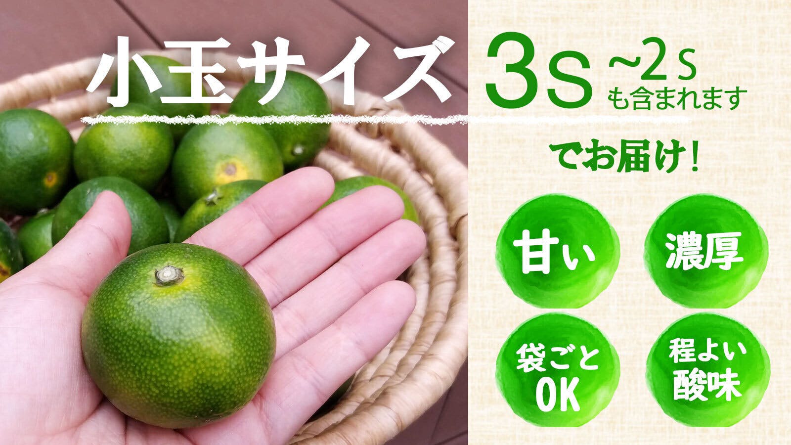 ありだみかん ゆら早生 3s コンパクト - 果物