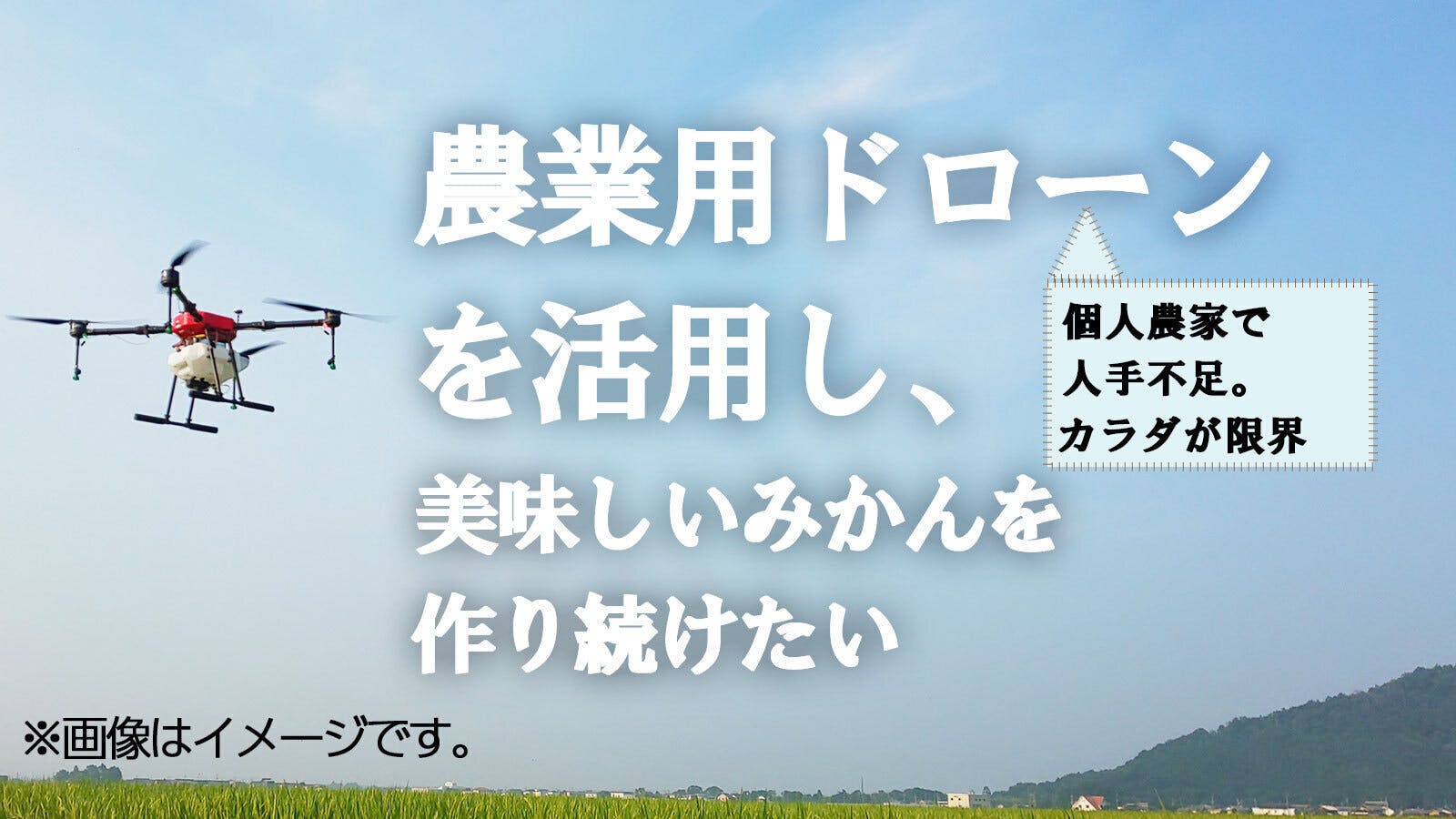 宮崎県産◎みかん 5kg 爽やかな甘さと程好い酸味◎極早生d - 通販