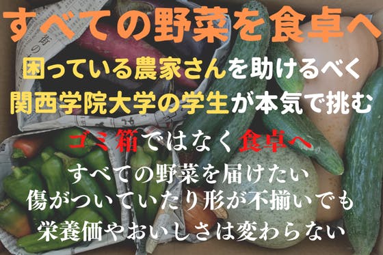 女子大学生3人が コロナ禍で行き場を失った農家の野菜を食卓に届ける活動をします Campfire キャンプファイヤー