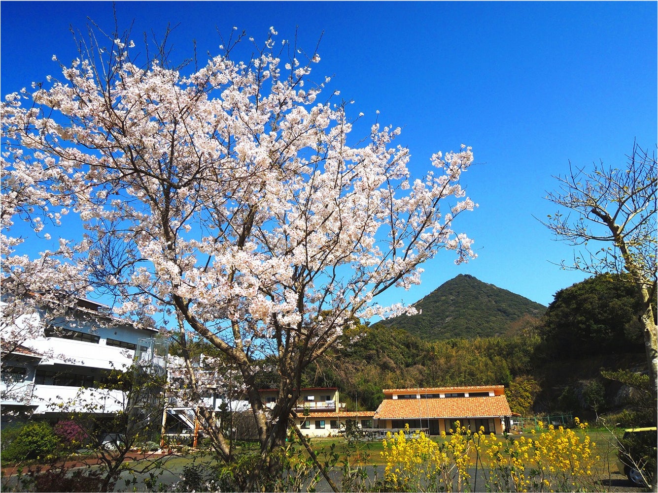 2番目のメイン画像