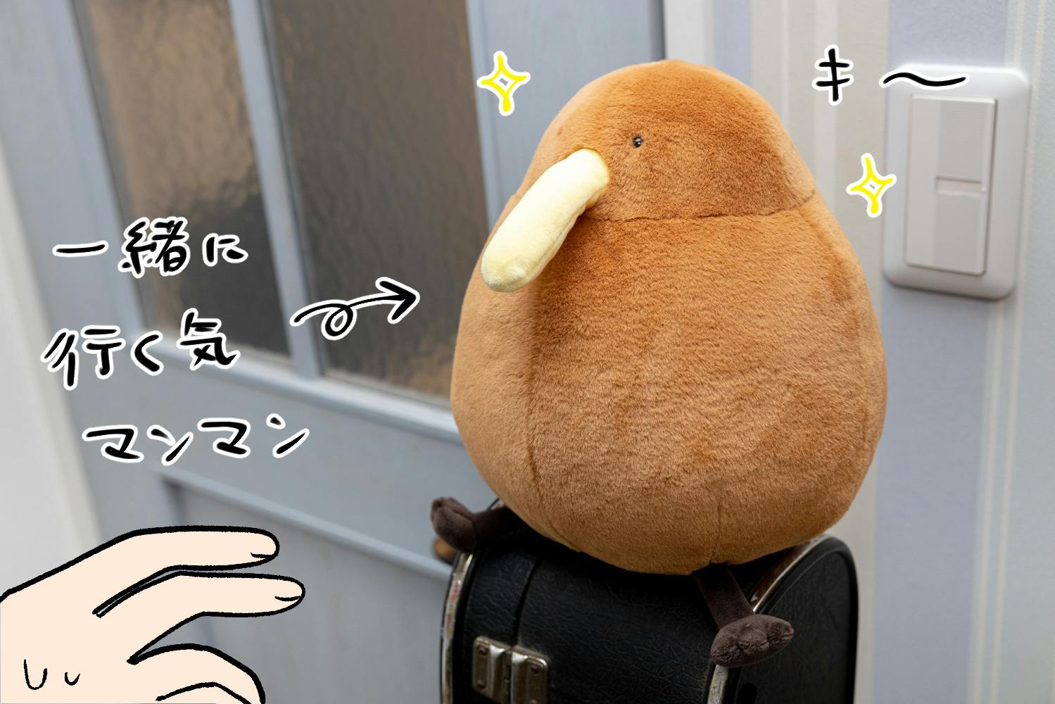 ゆるいキーウィぬいぐるみ化応援プロジェクト Campfire キャンプファイヤー ゆるいキーウィぬいぐるみ化応援プロジェクト Campfire キャンプファイヤー