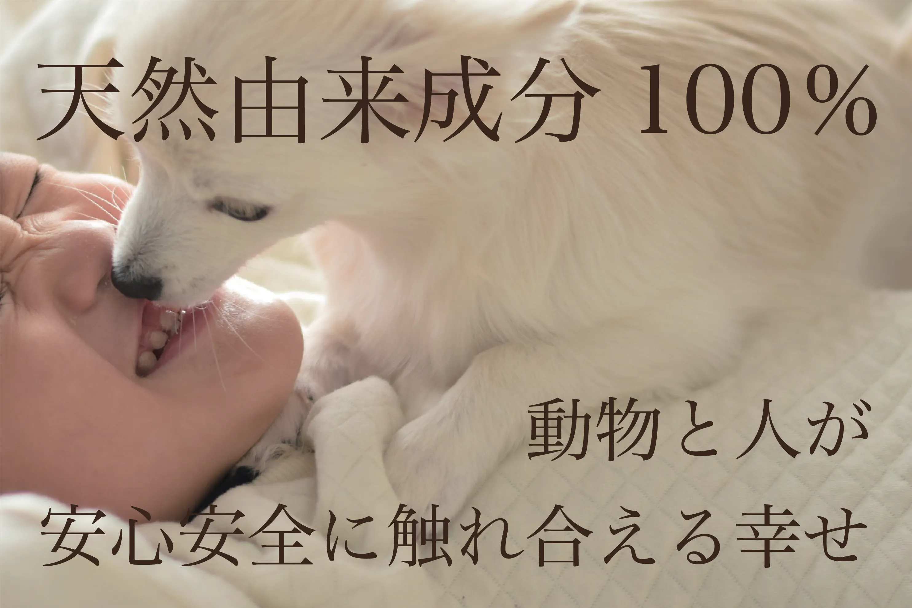 犬猫と一緒に暮らす人のためのリップクリーム 先行予約販売 特価 Campfire キャンプファイヤー 犬猫と一緒に暮らす人のためのリップクリーム 先行予約販売 特価 Campfire キャンプファイヤー