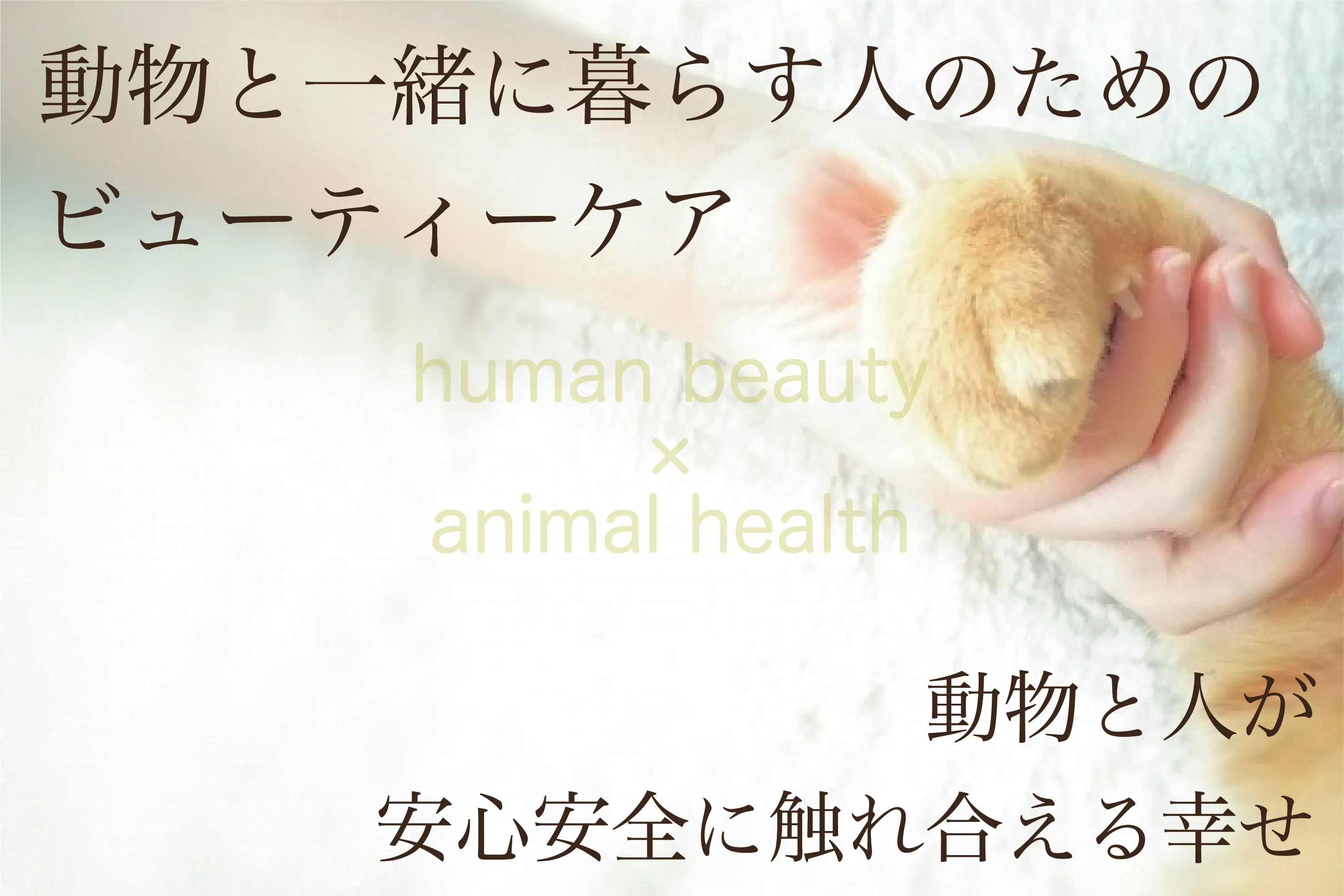 犬猫と一緒に暮らす人のためのリップクリーム 先行予約販売 特価 Campfire キャンプファイヤー 犬猫と一緒に暮らす人のためのリップクリーム 先行予約販売 特価 Campfire キャンプファイヤー