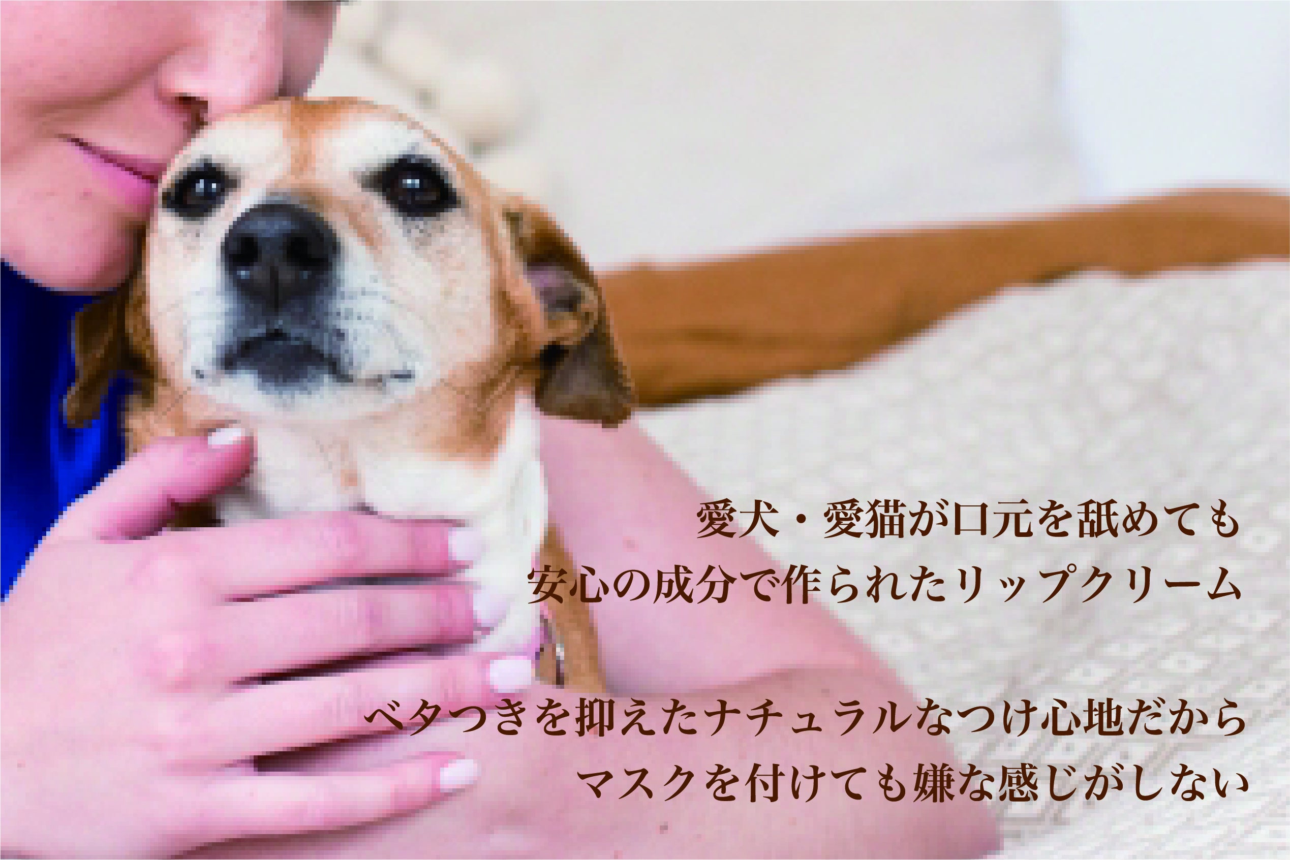 犬猫と一緒に暮らす人のためのリップクリーム 先行予約販売 特価 Campfire キャンプファイヤー 犬猫と一緒に暮らす人のためのリップクリーム 先行予約販売 特価 Campfire キャンプファイヤー