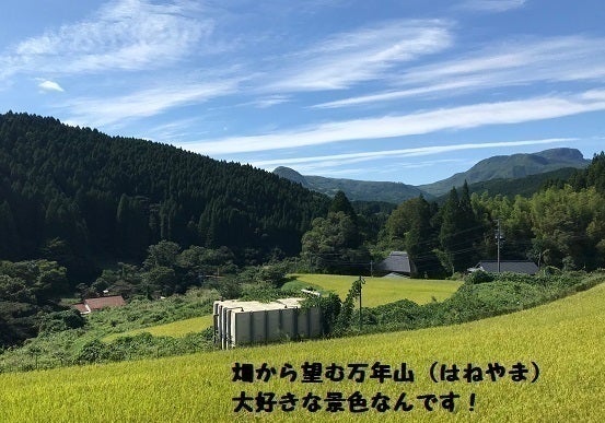 温泉を活用してマイクログリーンを無農薬栽培！ ～農業3Kから新3K