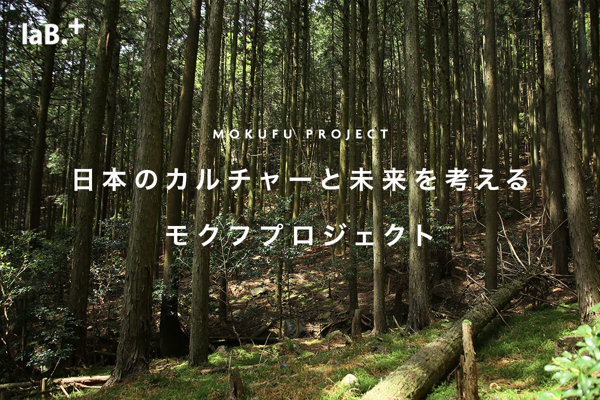 間伐材からできた木布 モクフ で環境保全の連鎖を Campfire キャンプファイヤー 間伐材からできた木布 モクフ で環境保全の連鎖を Campfire キャンプファイヤー