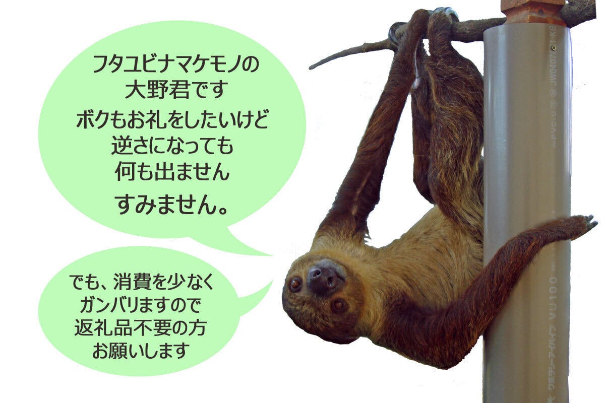Noah 動物たちとコロナ禍を乗り越えたい 再度のお願い Campfire キャンプファイヤー Noah 動物たちとコロナ禍を乗り越えたい 再度のお願い Campfire キャンプファイヤー