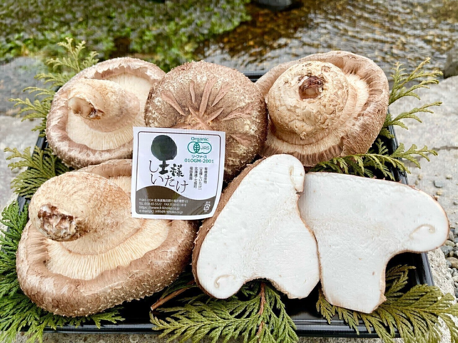 3番目のメイン画像