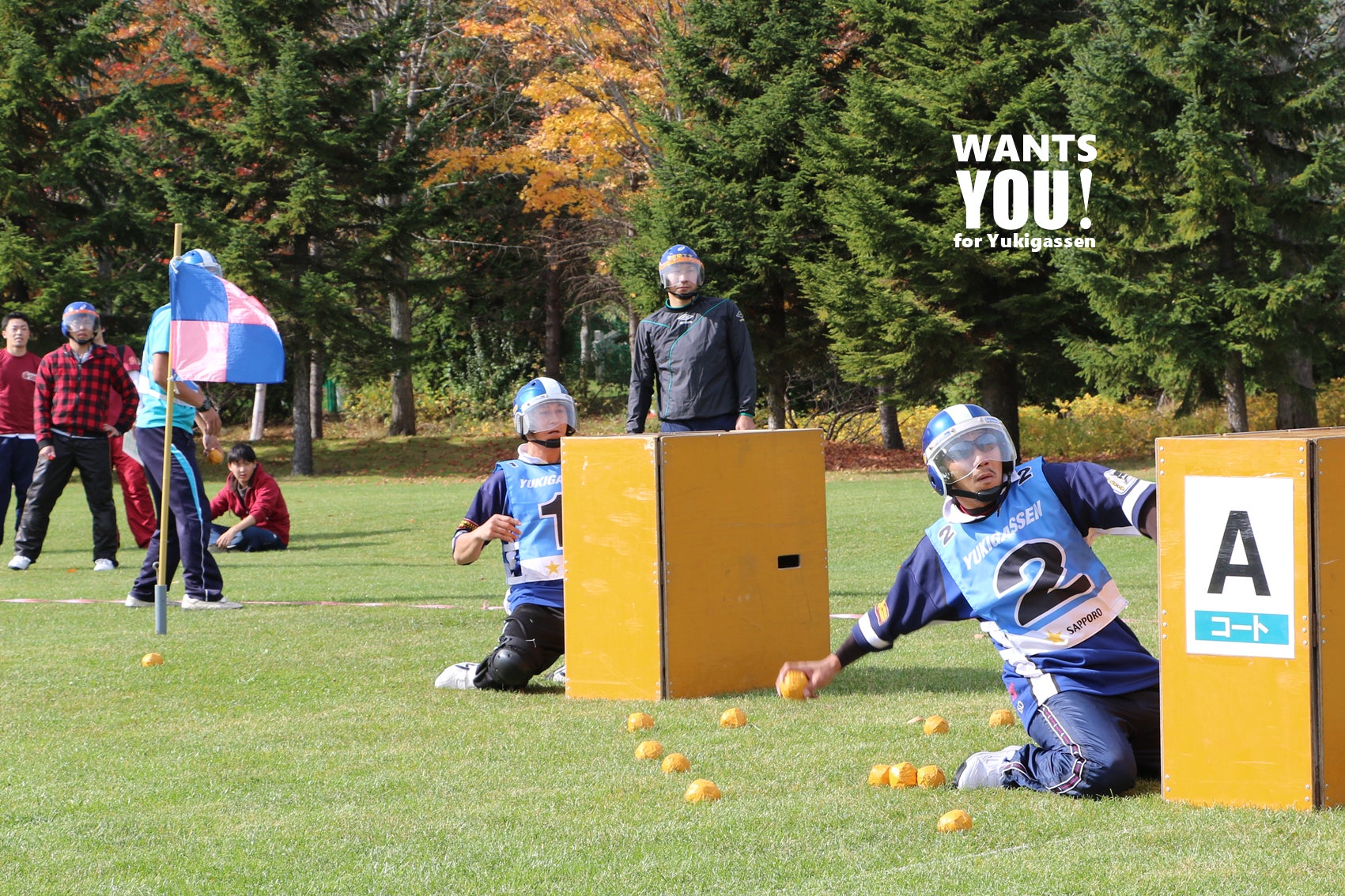 5番目のメイン画像