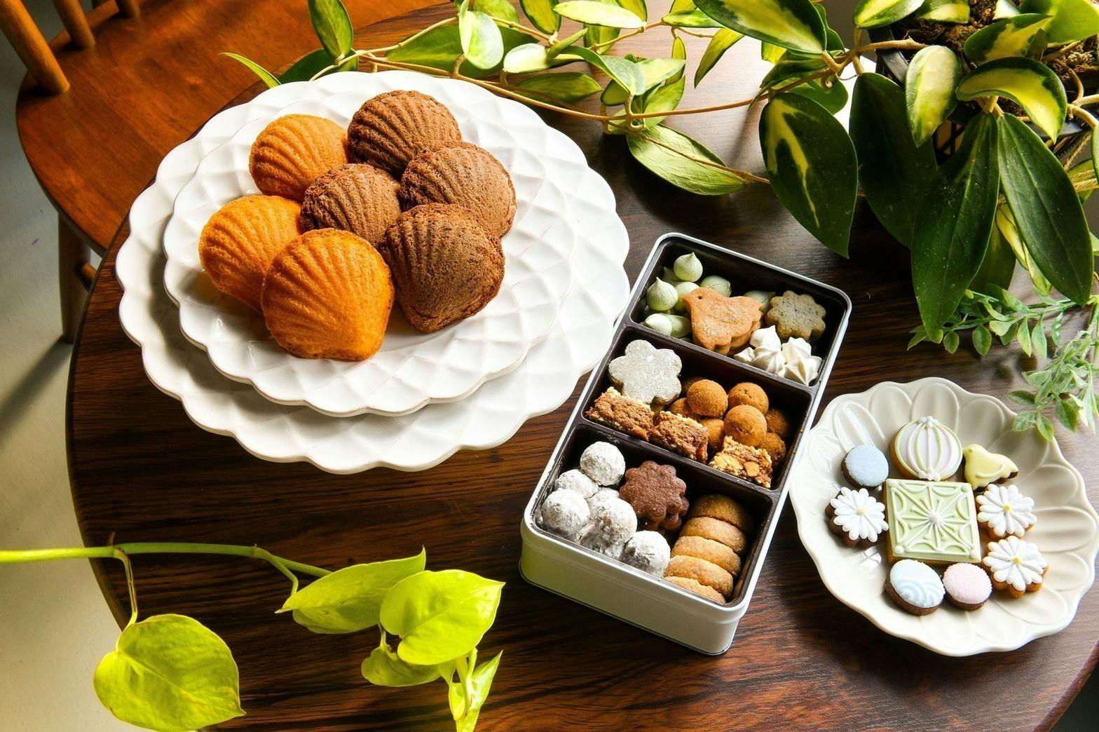 みんなに笑顔を Tobiraのクッキー缶 Campfire キャンプファイヤー みんなに笑顔を Tobiraのクッキー缶 Campfire キャンプファイヤー