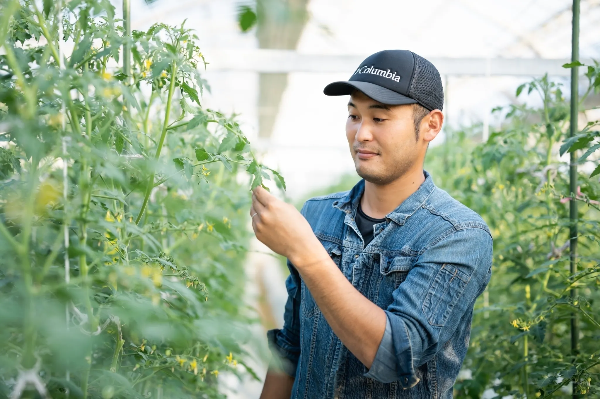 5番目のメイン画像