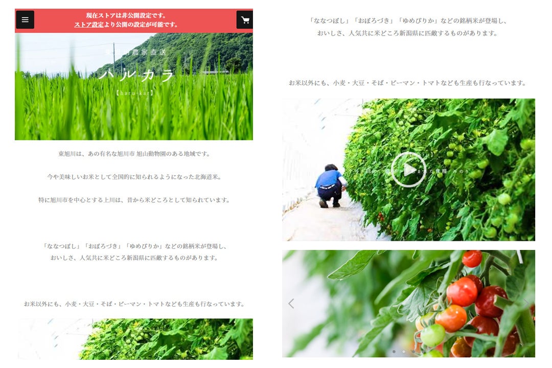 コロナ禍で困っている東旭川の農家さんを救いたい！！ - CAMPFIRE 