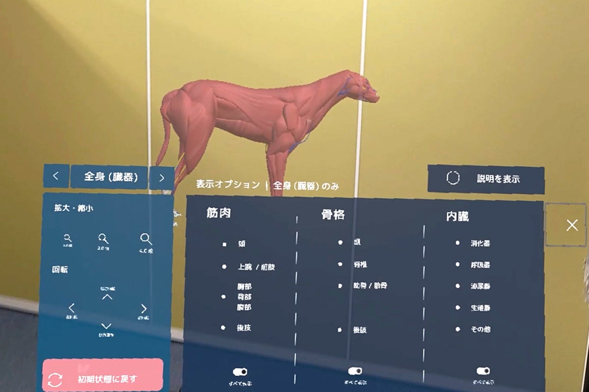 2番目のメイン画像