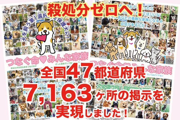 殺処分ゼロ 命をつなぐ保護犬ポスターを全国の学校に掲示する活動を 継続したい Campfire キャンプファイヤー