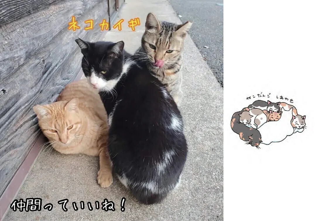 4番目のメイン画像