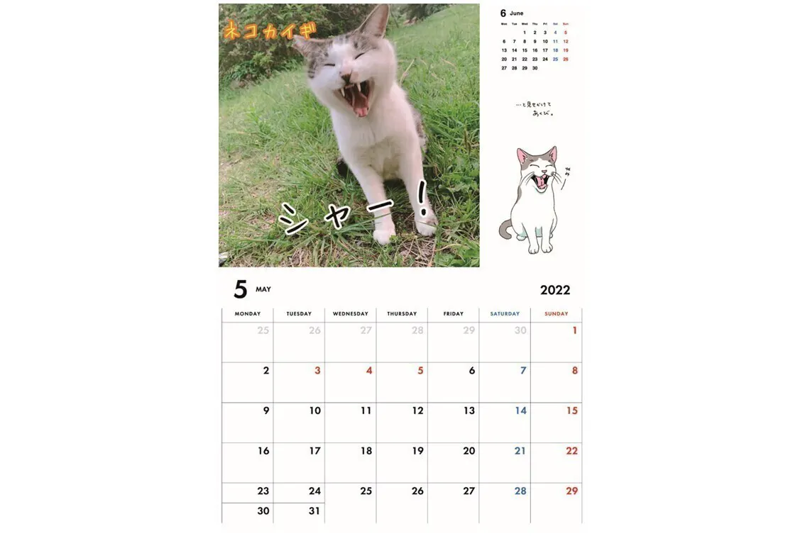 2番目のメイン画像