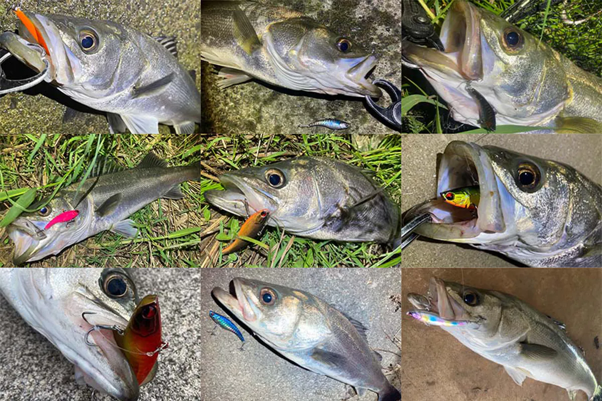 3番目のメイン画像