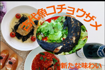 キャビアだけじゃない 古代魚コチョウザメの美味しさを知ってもらいたい Campfire キャンプファイヤー