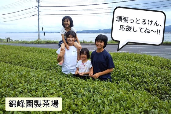 島根県松江でお茶栽培を続け、子供達と共に茶工場を守っていきたい 