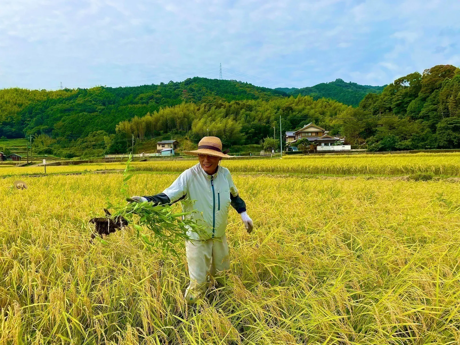 3番目のメイン画像