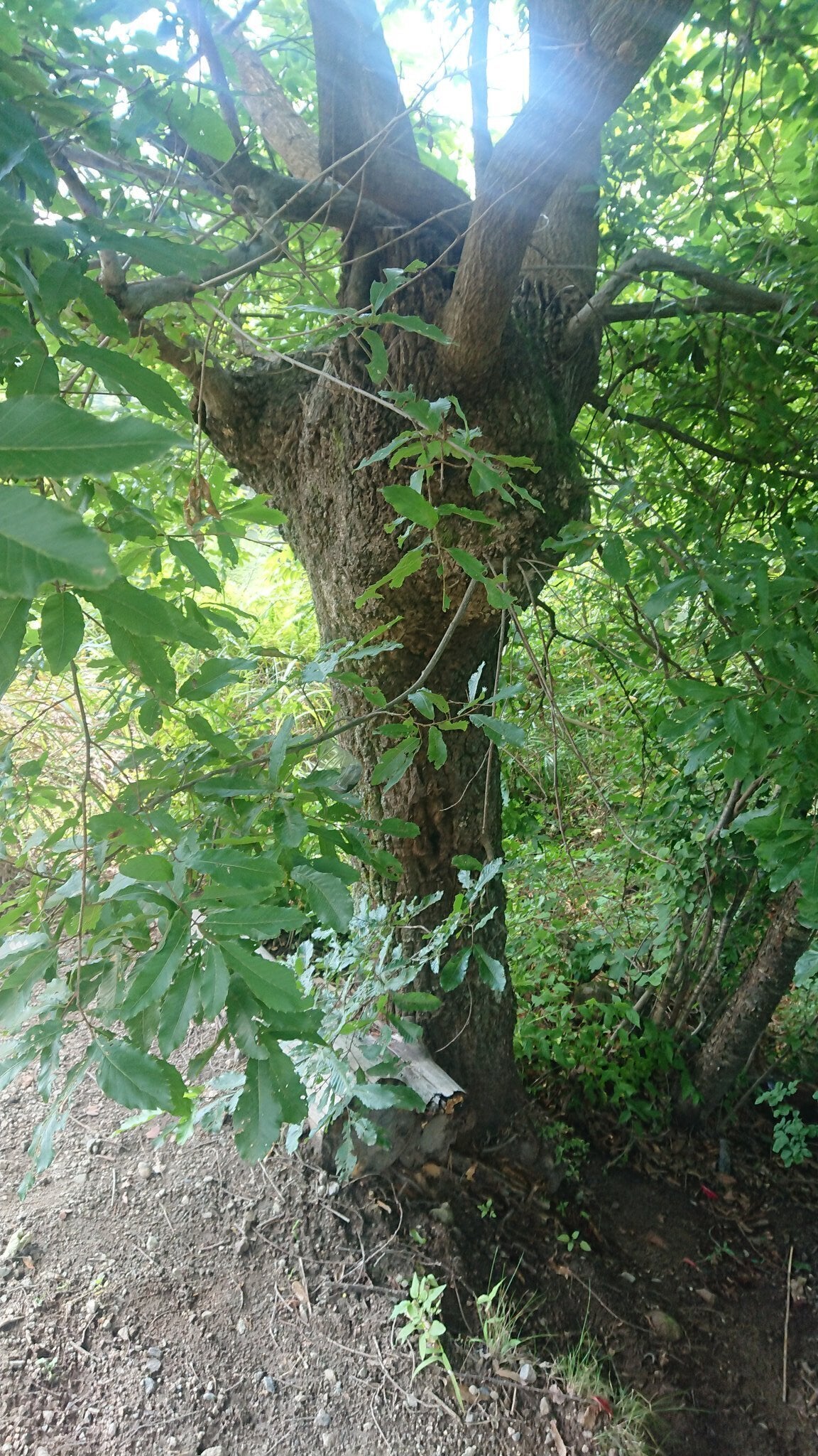 4番目のメイン画像