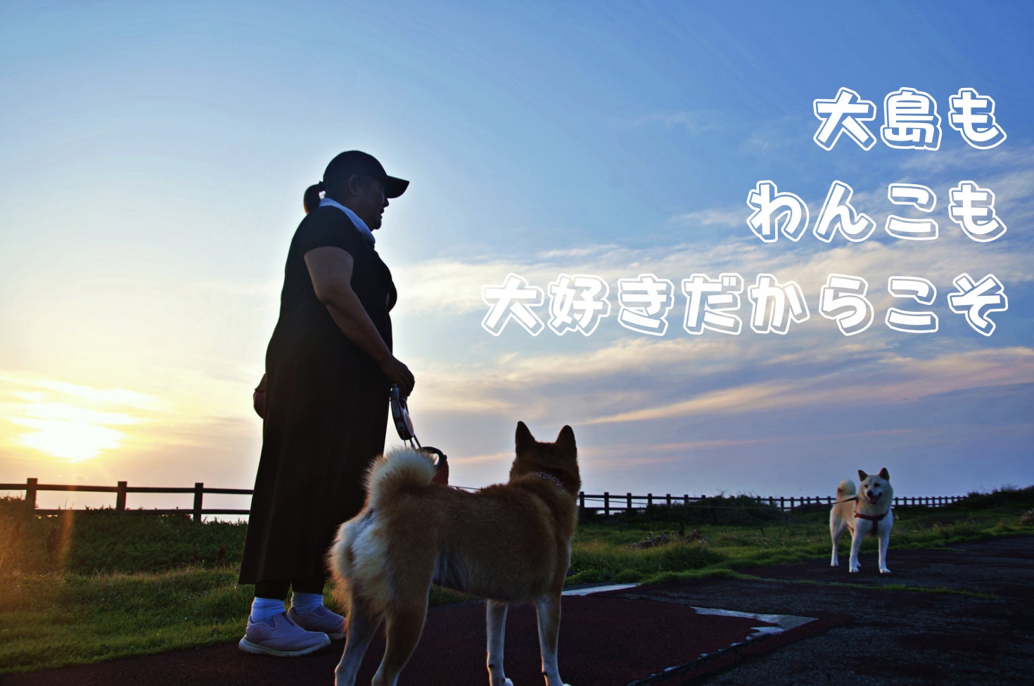 3番目のメイン画像