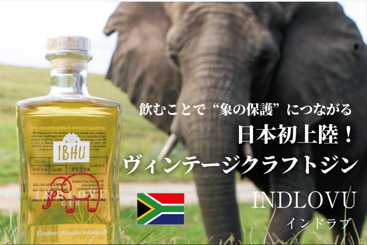 象がつくった南アフリカ最高級クラフトジン、日本初上陸！