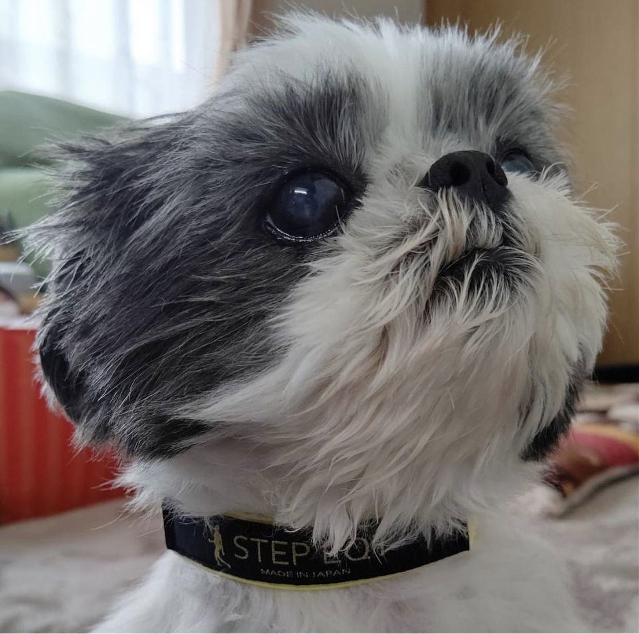 航空宇宙技術の中で生まれた「歩けるくん」 シニア犬の歩行をサポート