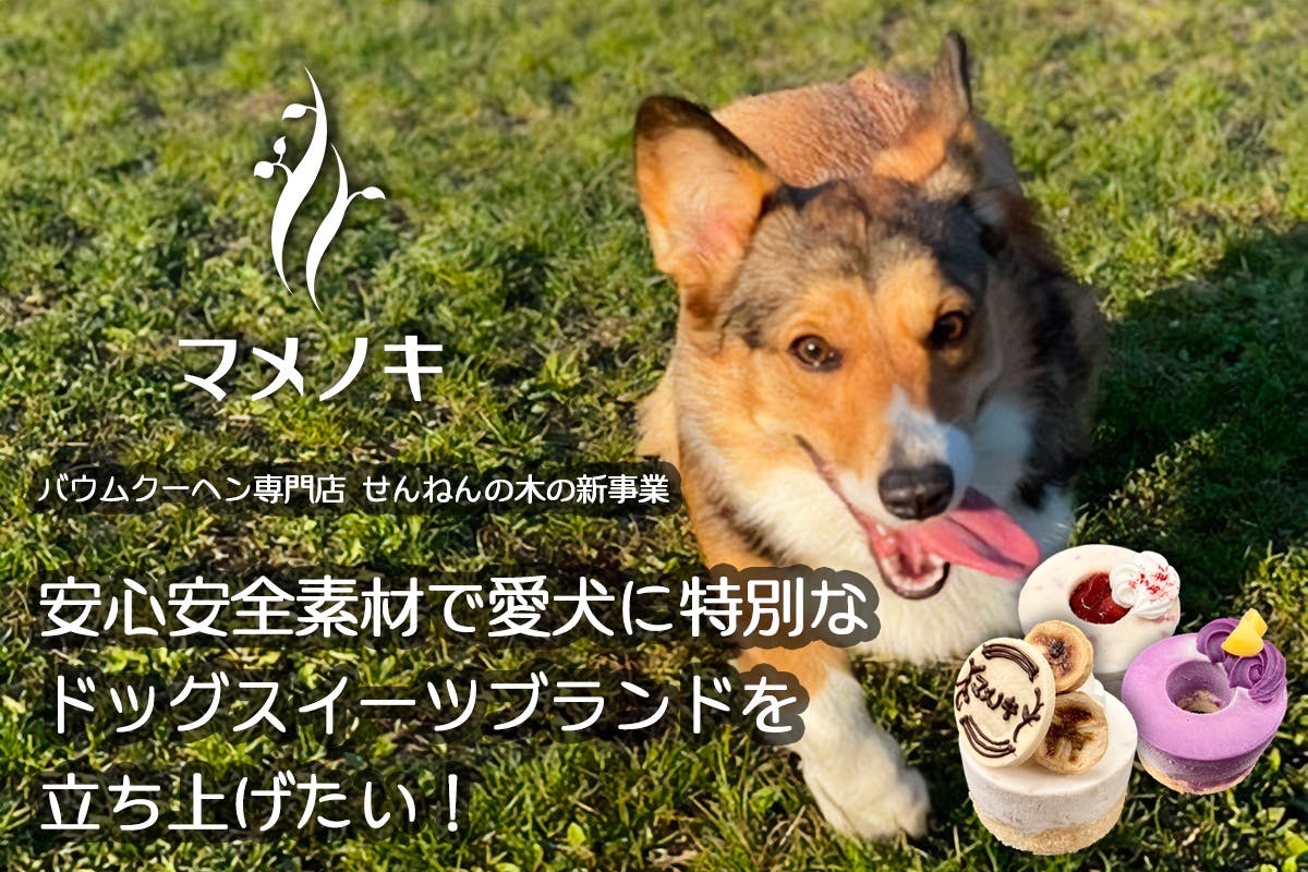 ドッグスイーツ マメノキ 安心安全素材で愛犬に特別なスイーツを せんねんの木 Campfire キャンプファイヤー