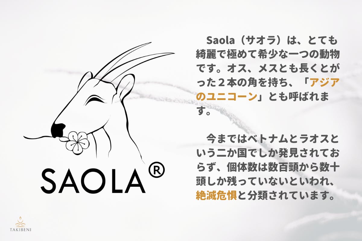 初ベトナムのエッセンシャルオイルを日本に届けて 絶滅危惧動物のサオラを救いたい Campfire キャンプファイヤー 初ベトナムのエッセンシャルオイルを日本に届けて 絶滅危惧動物のサオラを救いたい Campfire キャンプファイヤー