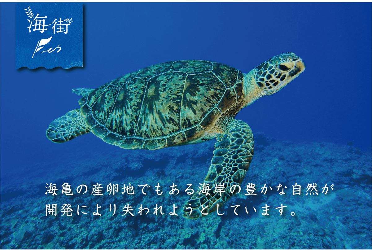 海街フェスを成功させ、失われゆく海岸の自然を子ども達の未来に残し 