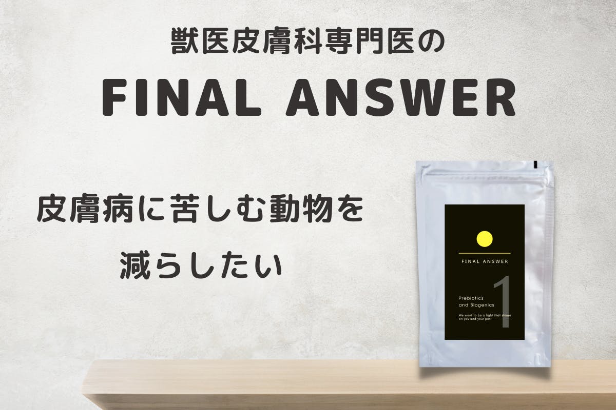 皮膚病に苦しむ動物を減らしたい【獣医皮膚科専門医のFINAL ANSWER