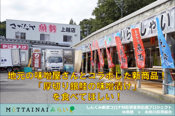 地元の味噌屋さんとコラボした新商品 厚切り銀鮭の味噌漬け を食べてほしい Campfire キャンプファイヤー 地元の味噌屋さんとコラボした新商品 厚切り銀鮭の味噌漬け を食べてほしい Campfire キャンプファイヤー