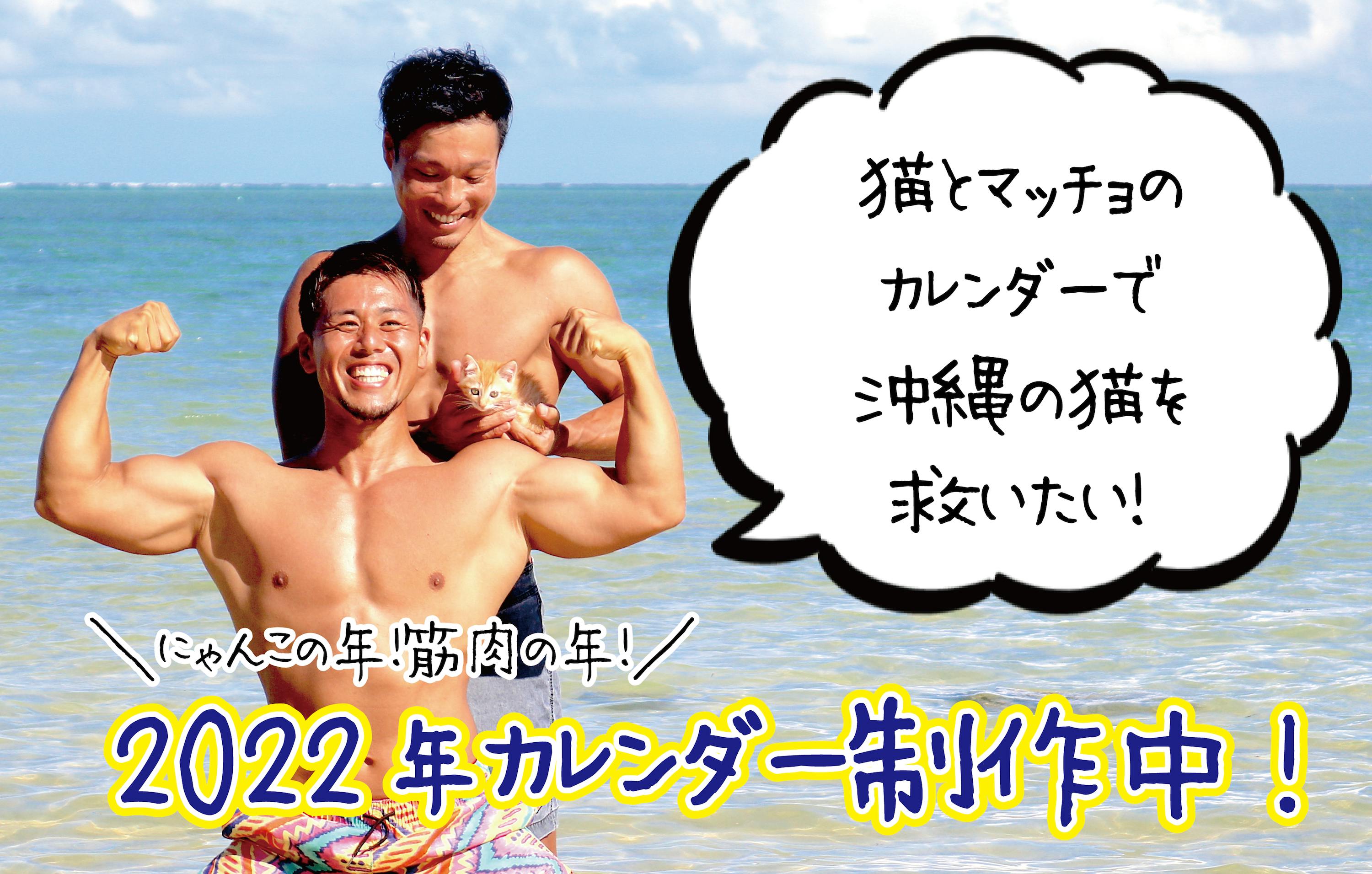猫とマッチョのカレンダーを作って沖縄の猫たちを救いたい Campfire キャンプファイヤー 猫とマッチョのカレンダーを作って沖縄の猫たちを救いたい Campfire キャンプファイヤー