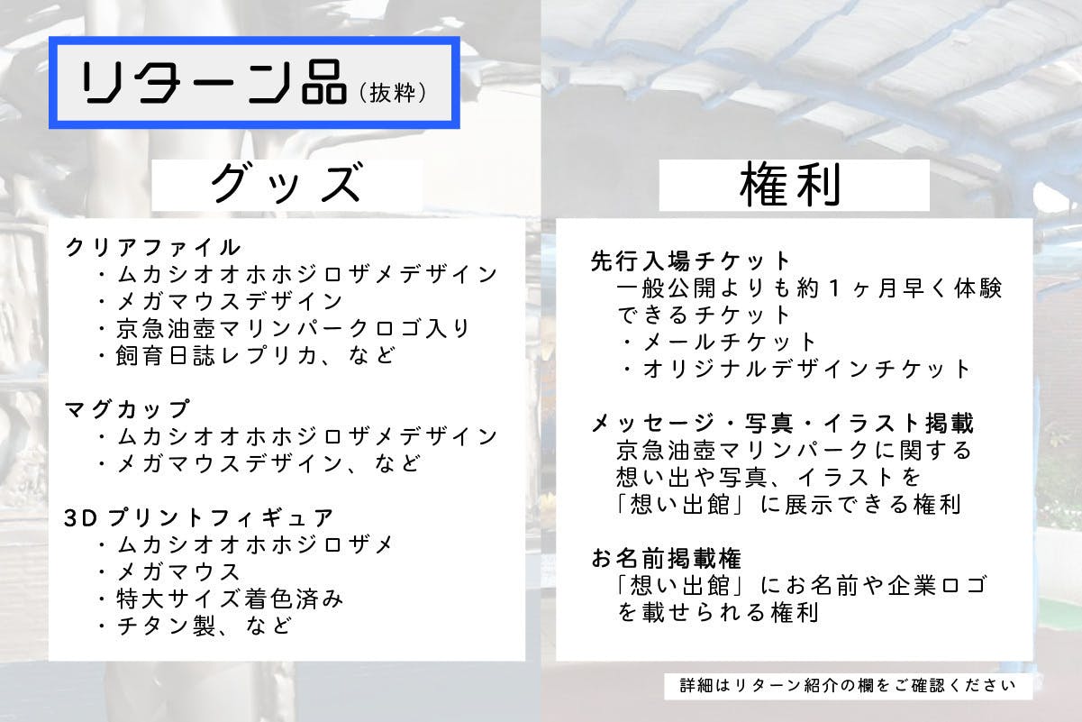 複数個のリターンを選ぶ方法 - CAMPFIRE (キャンプファイヤー)