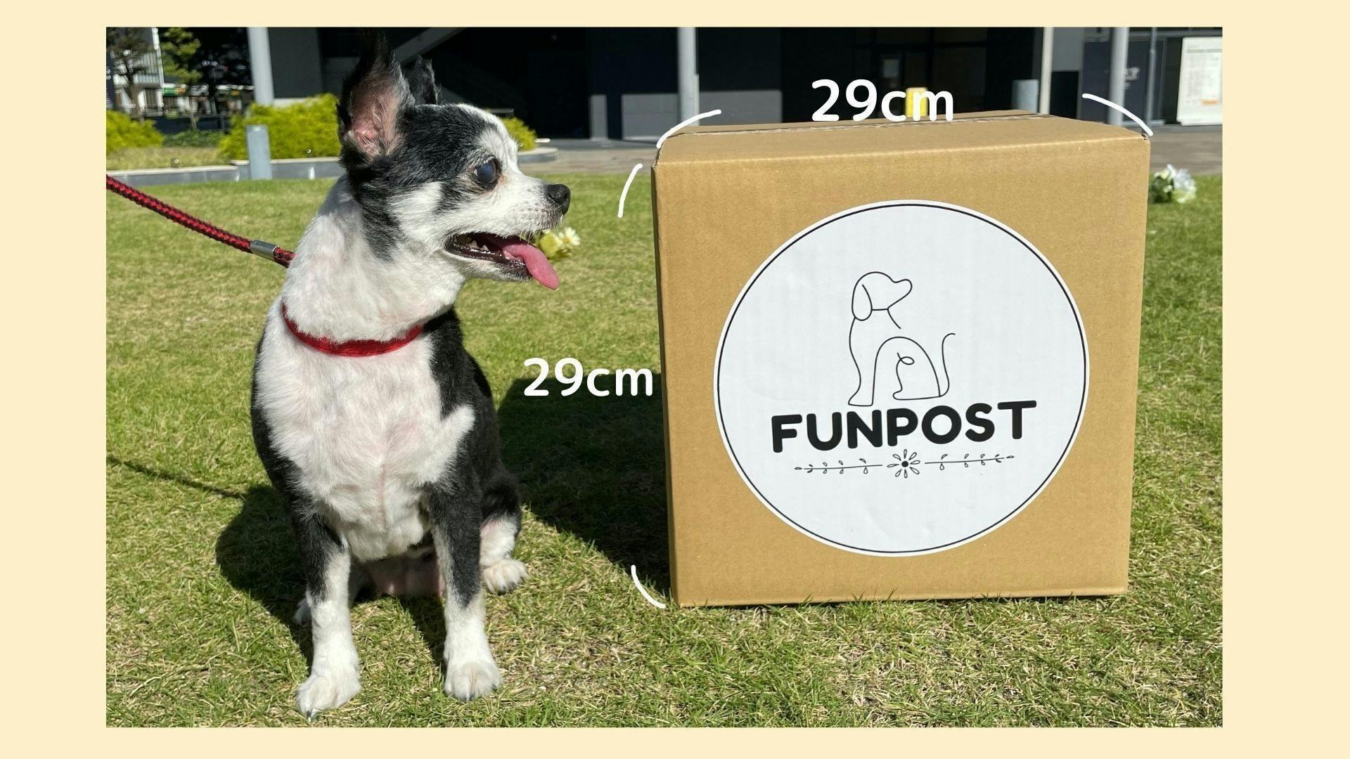 愛犬のフンが花の肥料に 犬のフンを拾うことが楽しくなるコンポストを作りたい Campfire キャンプファイヤー 愛犬のフンが花の肥料に 犬のフンを拾うことが楽しくなるコンポストを作りたい Campfire キャンプファイヤー