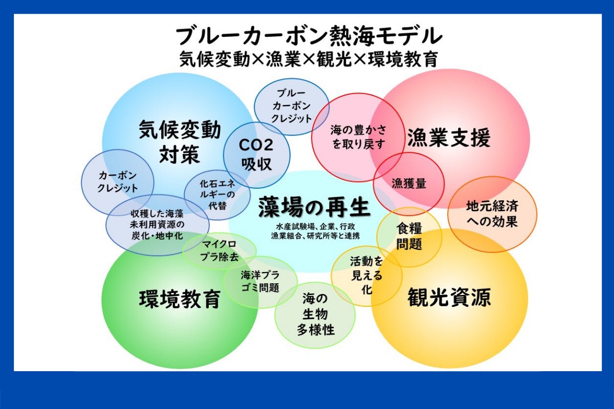 豊かな海を取り戻す 温暖化を止めるブルーカーボンの取り組みを熱海から広げたい Campfire キャンプファイヤー