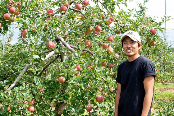 CAMPFIRE　名産地・信州梓川の規格外りんごを使って、地域の方々と加工品を開発したい。　(キャンプファイヤー)