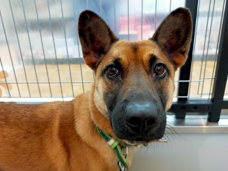 3番目のメイン画像