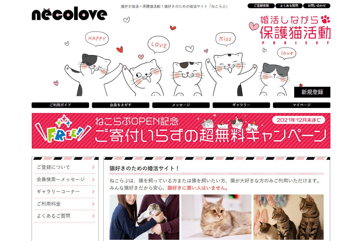 婚活を通して猫ちゃんの命を守りたい！ - CAMPFIRE (キャンプファイヤー)