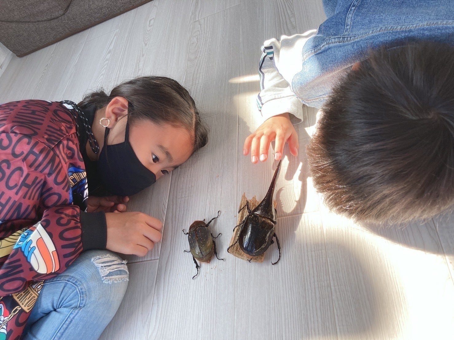 2番目のメイン画像