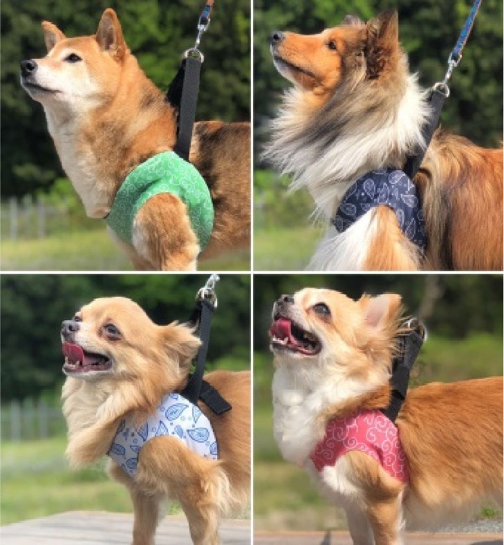 4番目のメイン画像